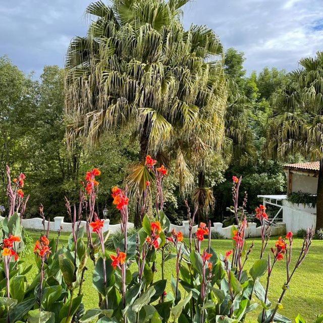 Casa Caballero Hotel Boutique Salento Kültér fotó